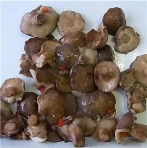 Konzervovaná huba Suillus